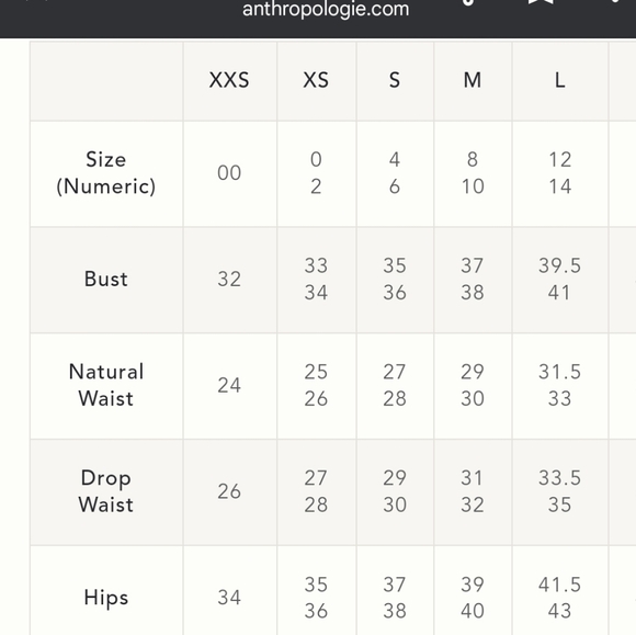 ANTHROPOLOGIE Saturday Sunday Narva Swing Dress - Picture 15 of 15